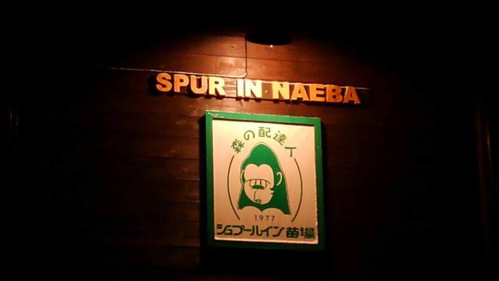 Spur In Naeba Villa Kusatsu  Exterior photo